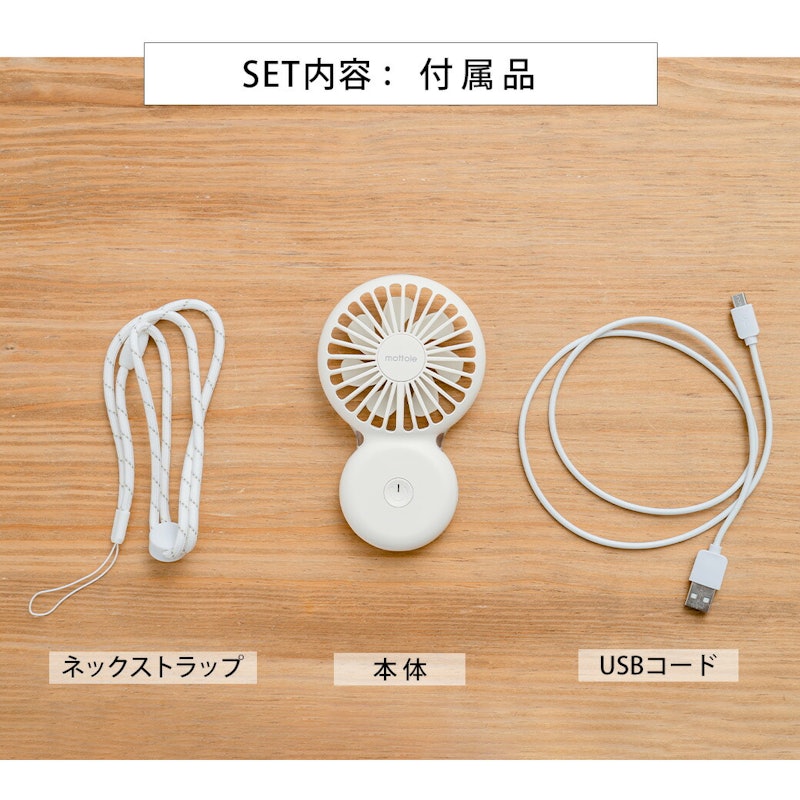 ハンディファン 10