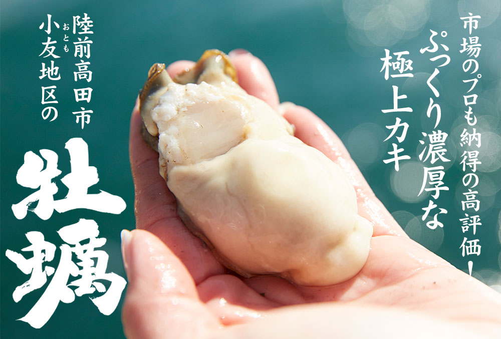 訳あり・数量限定 生食用殻付き牡蠣  2