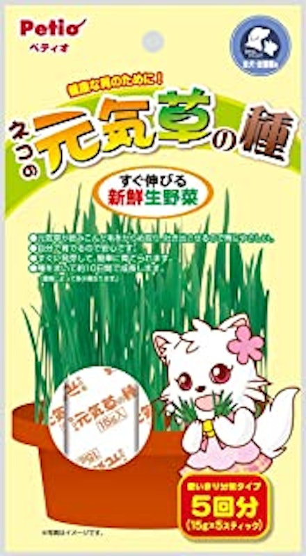 猫草 1