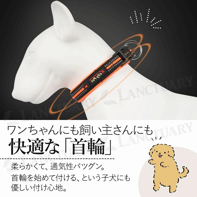 ペット首輪 5