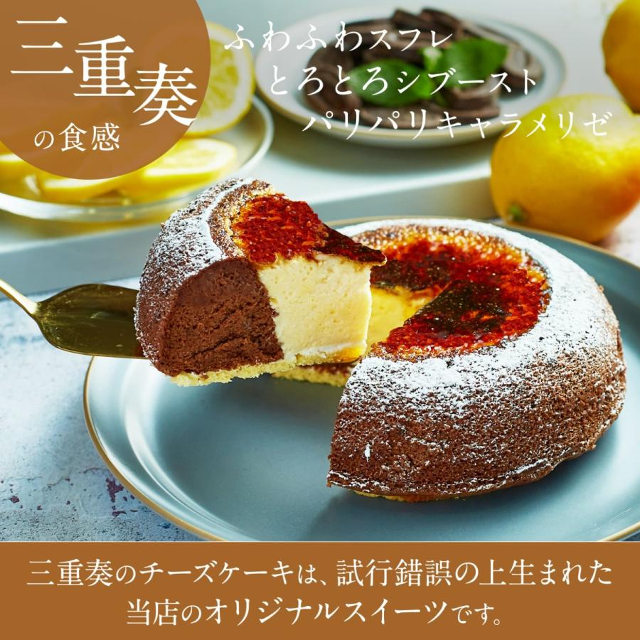 天空のチーズケーキ ショコラ 2