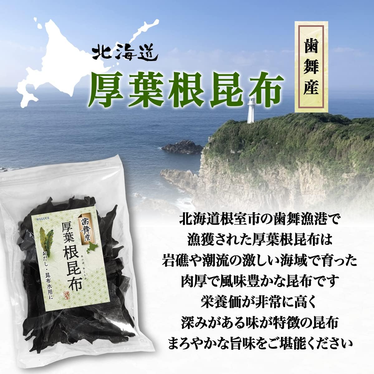 日高昆布 昆布 日髙 天然 北海道 根昆布 頭 根昆布だし だし 100g