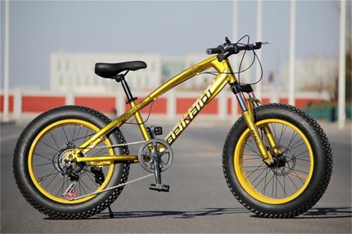 ファットバイクのおすすめ人気ランキング【2025年12月】 | マイベスト