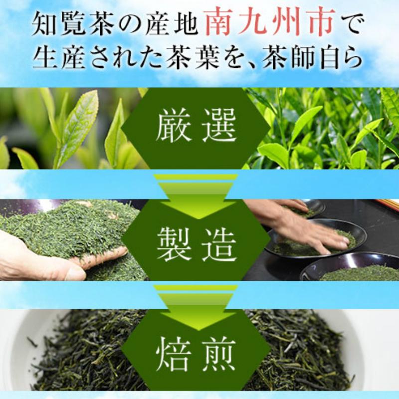 知覧茶 有機栽培茶 梅 4