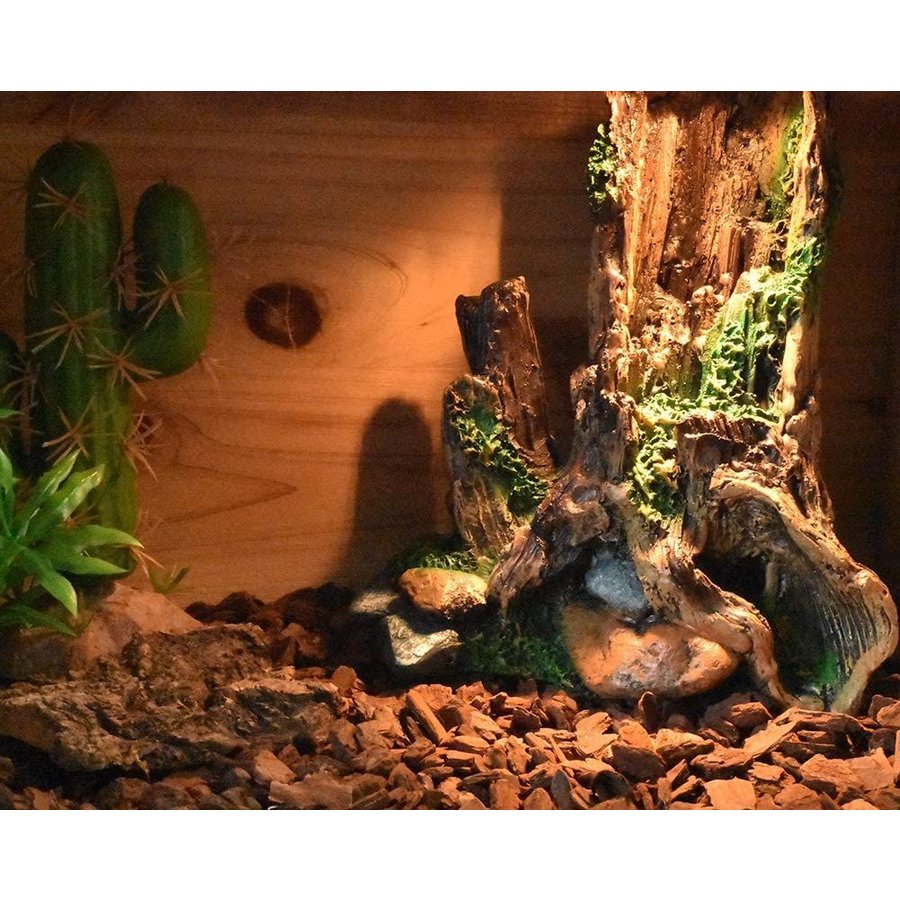 21年 爬虫類用流木のおすすめ人気ランキング10選 Mybest