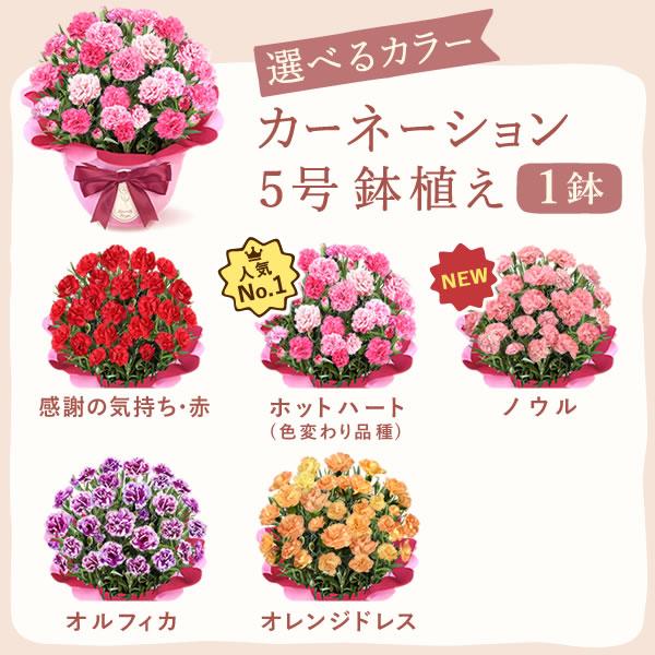 花とスイーツ 2