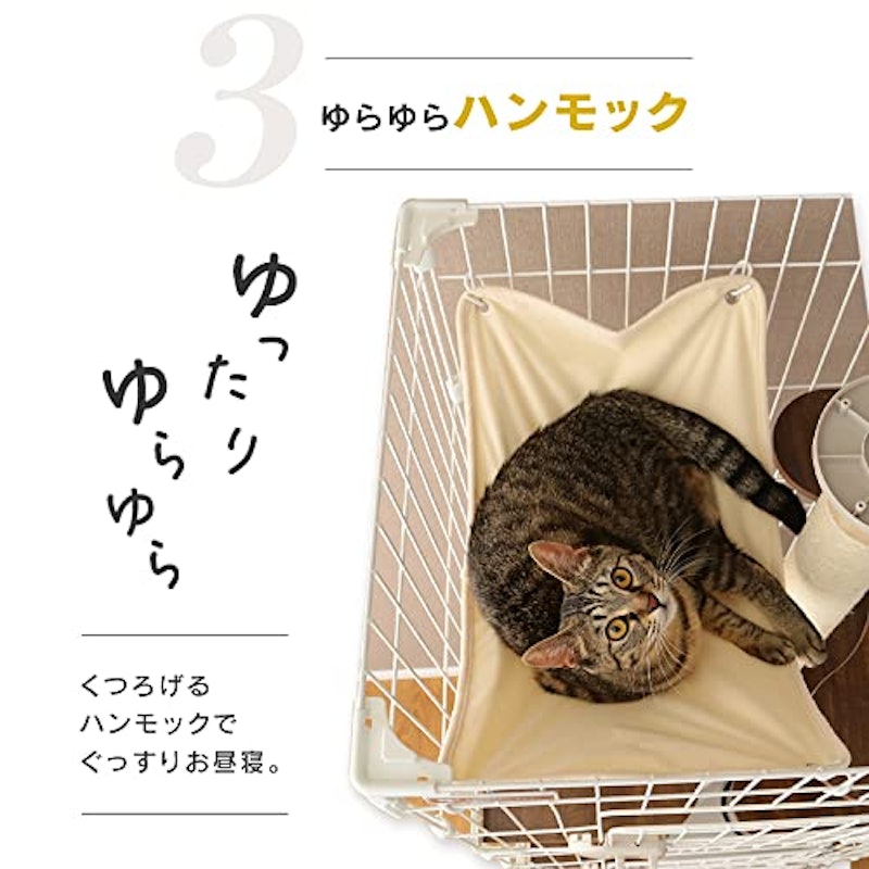 キャットランドケージ 6