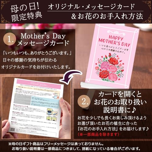 アジサイ 巡恋花エレガンス 4