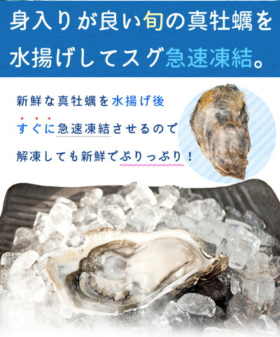 冷凍殻付き生牡蠣 加熱用 牡蠣ナイフ手袋付 3