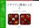 本願寺出版社 イタリアン精進レシピ2 1