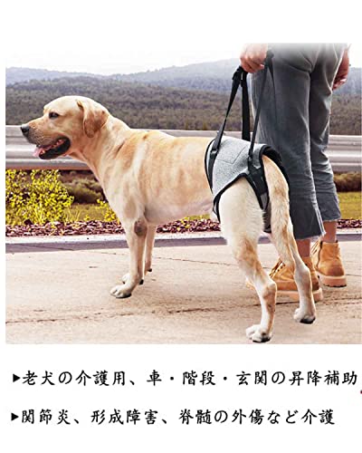犬用介護ハーネス 6