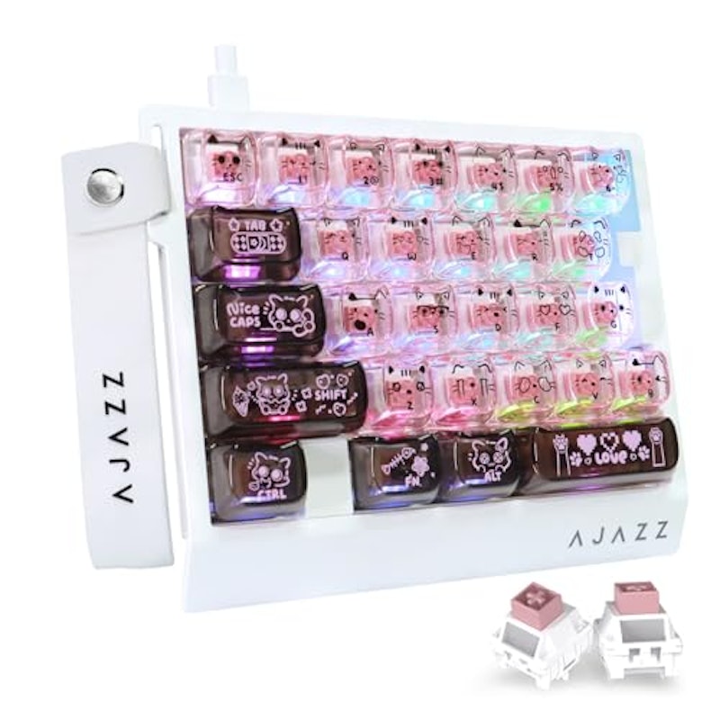 AK029 1