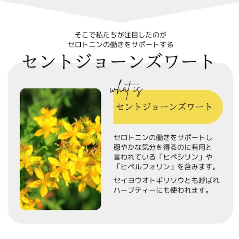 22年 セントジョーンズワートのおすすめ人気ランキング24選 Mybest 22年 セントジョーンズワートのおすすめ人気ランキング24選 Mybest