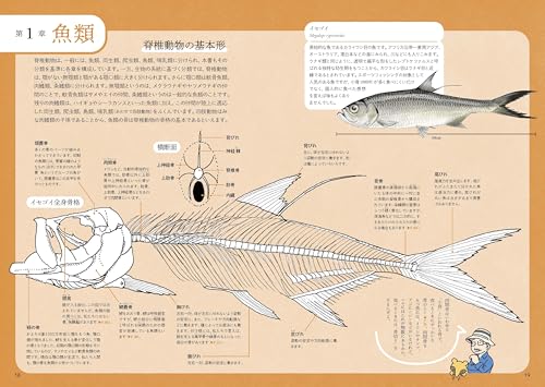 ぜんぶ絵でわかる9 すごい骨の動物図鑑 3