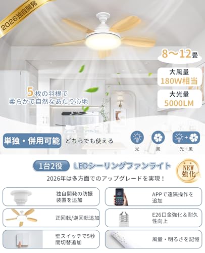 シーリングファンライト 2