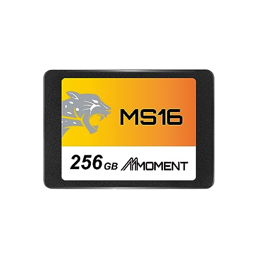 MS16 1
