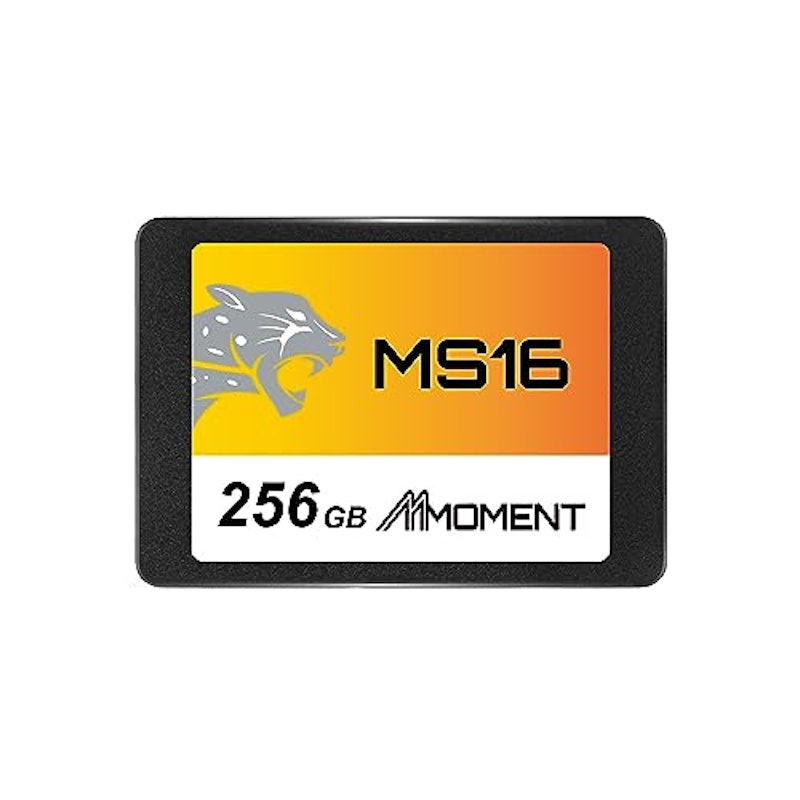 MS16 1