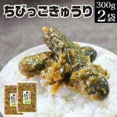 ちびっこきゅうり 1