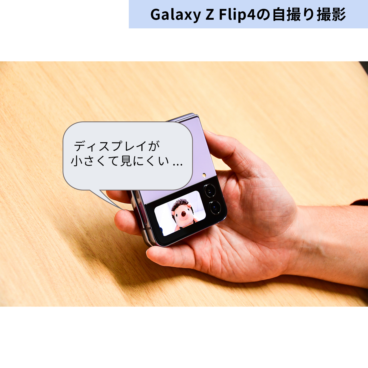 Z Flip4 13