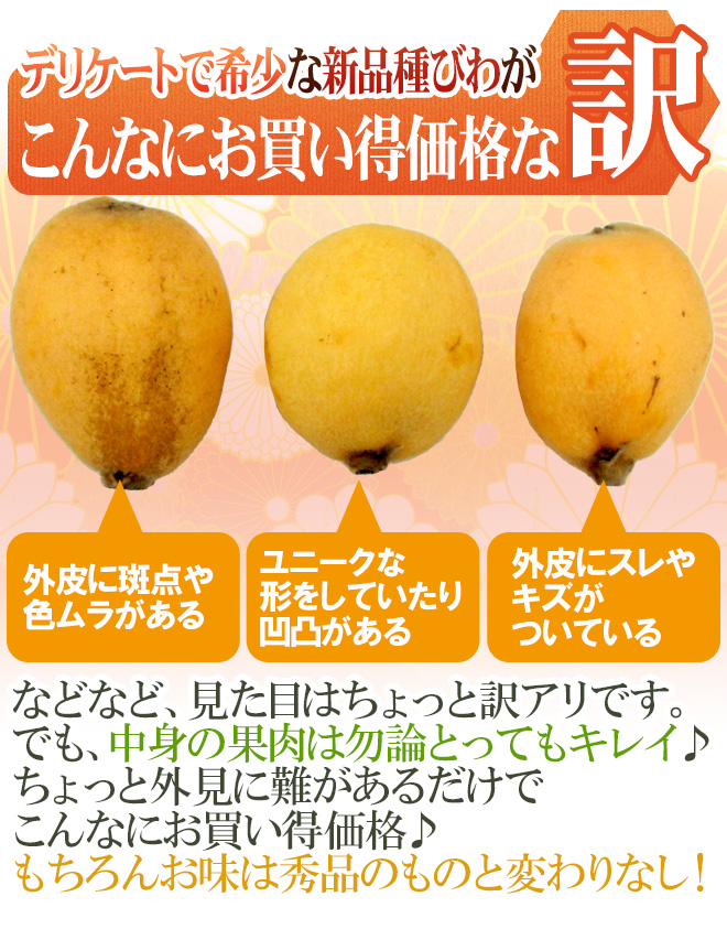 巨大びわ甘香 訳あり 5