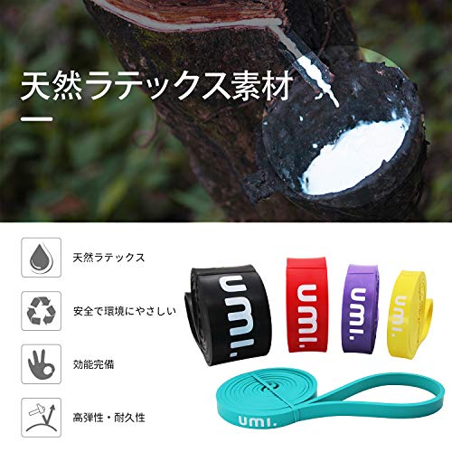 トレーニングバンド 2
