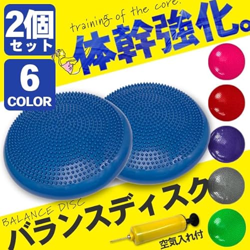 バランスディスク 2