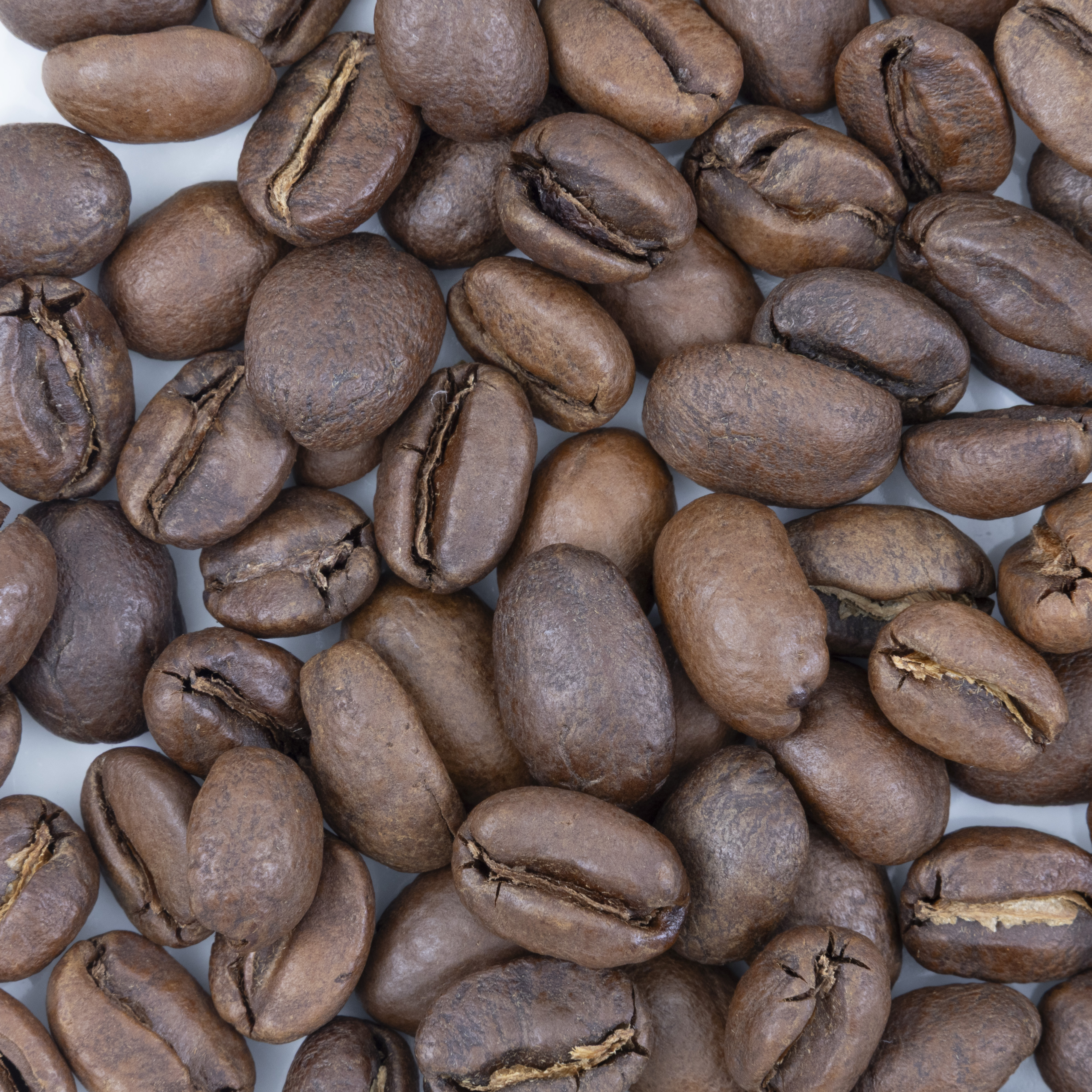 Blue Bottle Coffee ベラ・ドノヴァン クチコミ評価・評判&検証レビュー 2