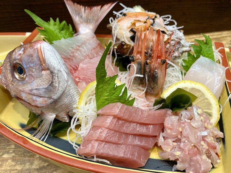 伊豆ドッグペンション ことぶきベース 9