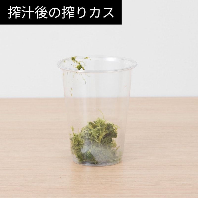 コールドプレスジューサー 13