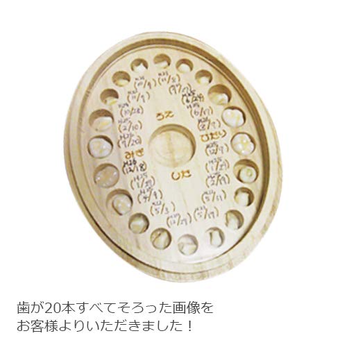 乳歯ケース りんご 8