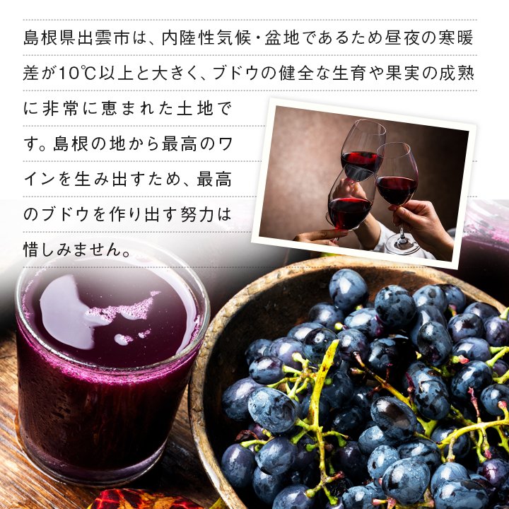 白・赤詰合せセット 4