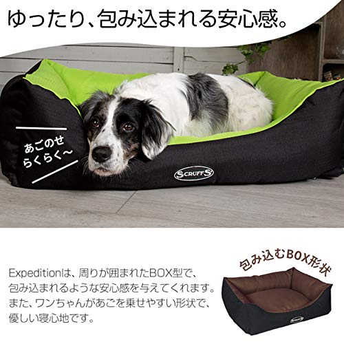 エクスペディションボックスベッド 3