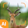 Clever Life 動物識別器 1