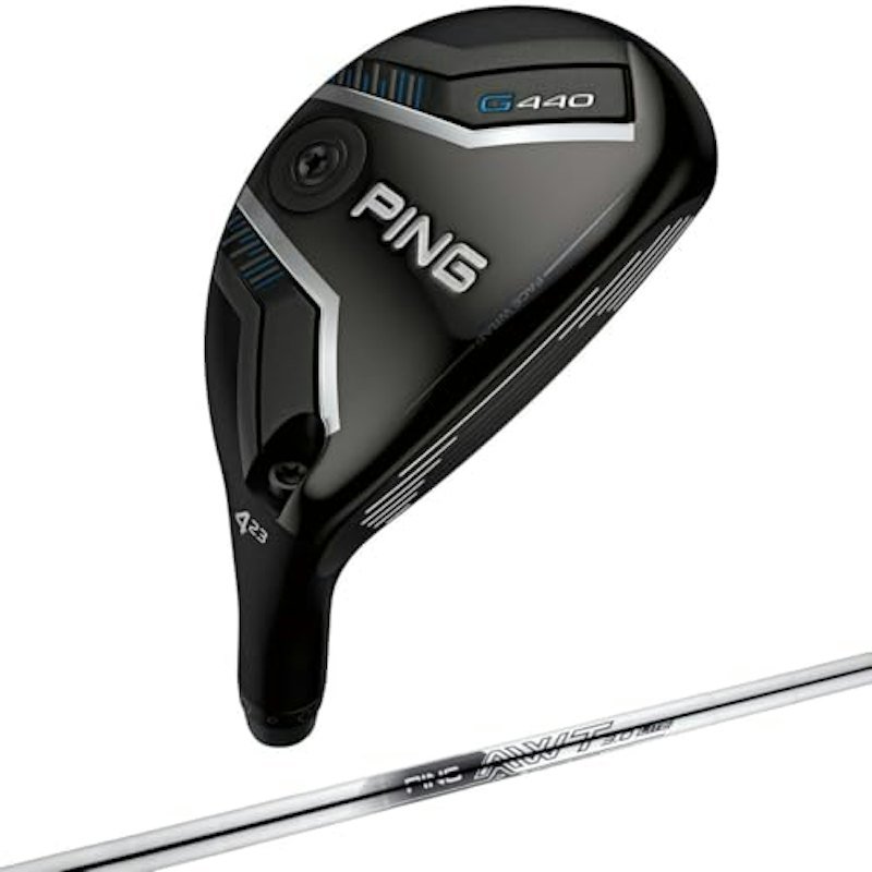 HYBRID 1