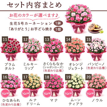 選べる鉢花とスイーツセット 3