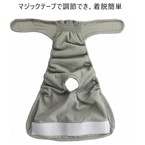 犬用オムツ 5