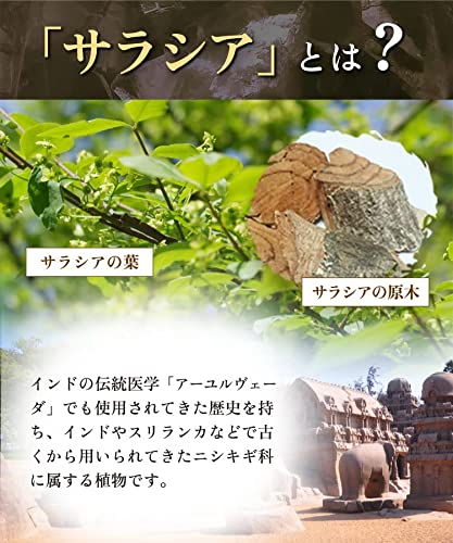 サラシア茶のおすすめ人気ランキング【2024年】 | マイベスト