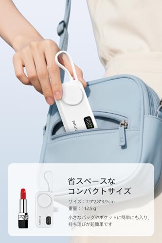 モバイルバッテリー 6
