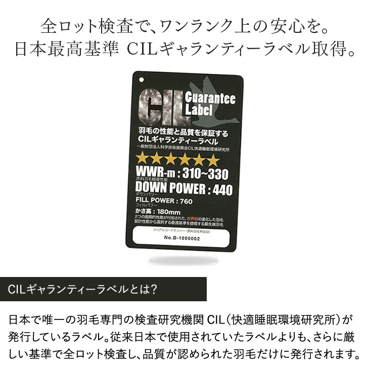 美の羽毛 10