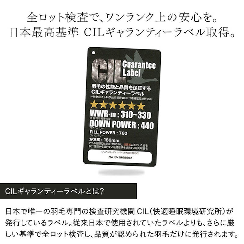 美の羽毛 10