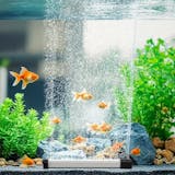 エアストーンのおすすめ人気ランキング【2026年9月】 5