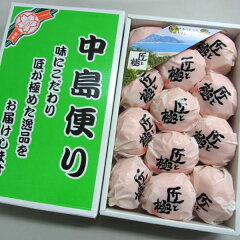 中島便り 匠と極 1