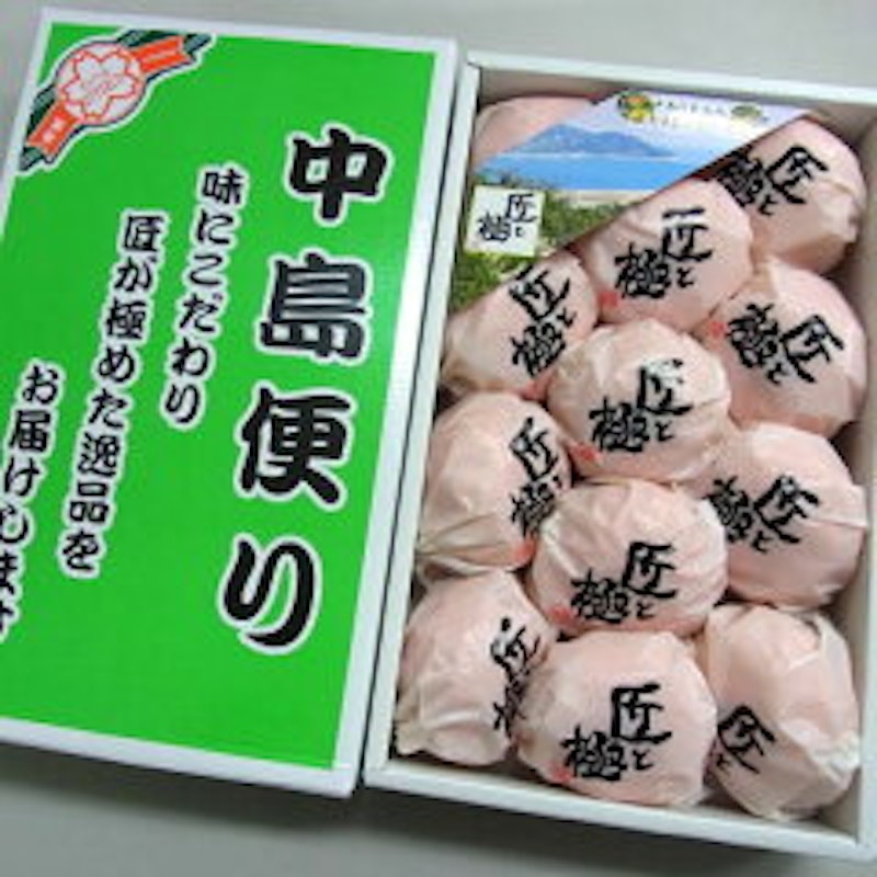 中島便り 匠と極 1