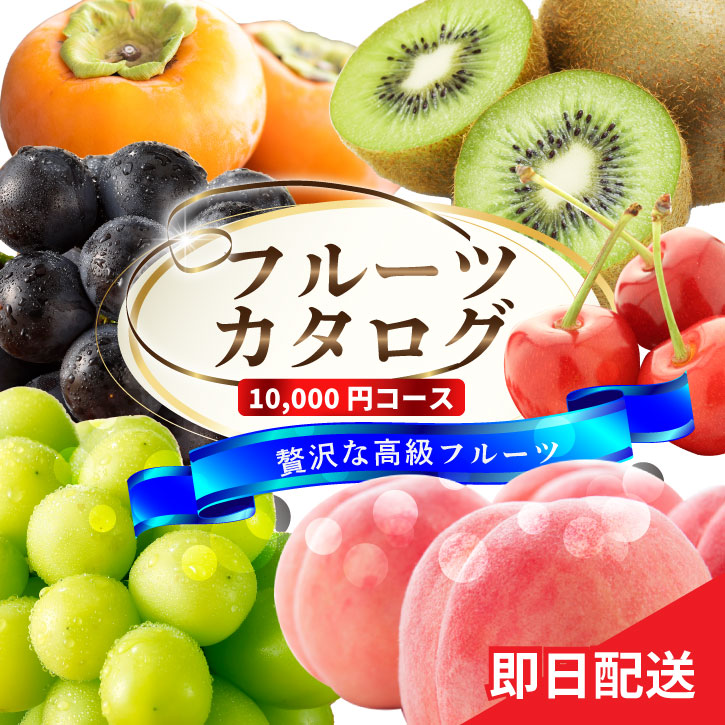 フルーツカタログ 1