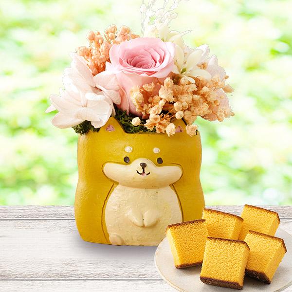 動物プリザとカステラ MDPE 3