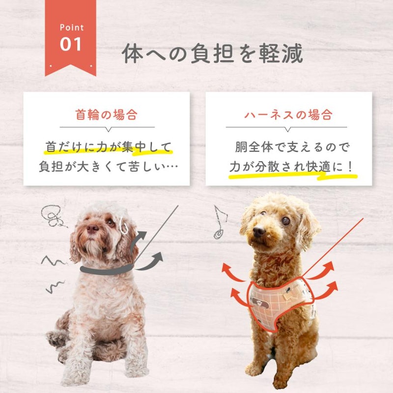 犬用ハーネス&リード 2
