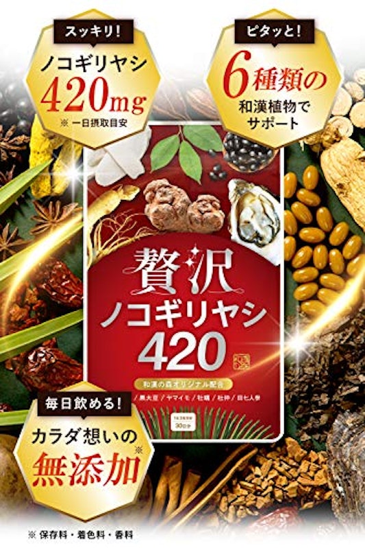 贅沢ノコギリヤシ420 4