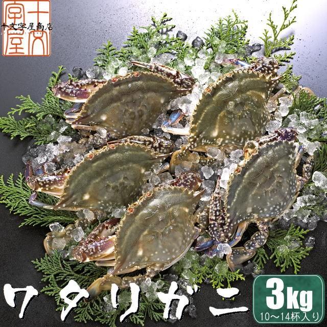 ワタリガニ 1