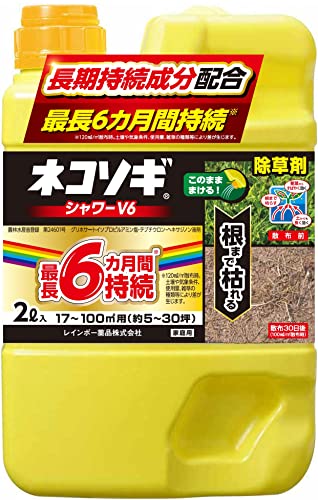 シャワーV6 1
