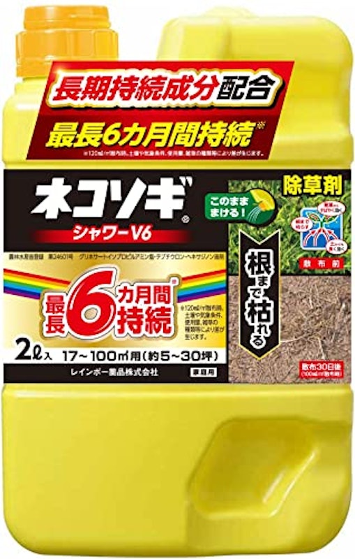 シャワーV6 1